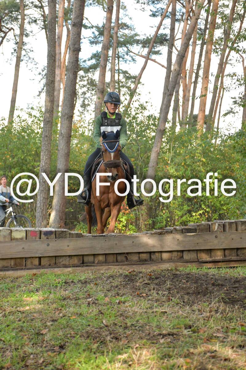 eventing-grobbendonk-4563-standard.jpg