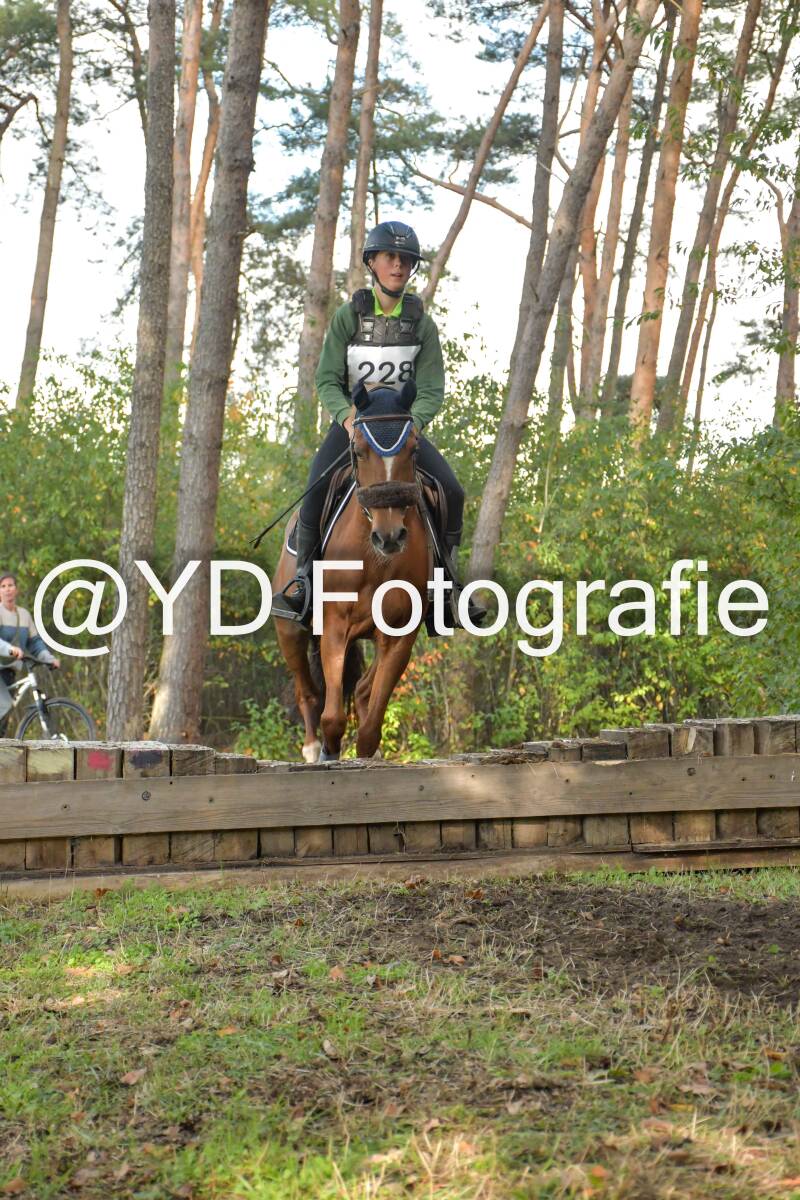 eventing-grobbendonk-4564-standard.jpg