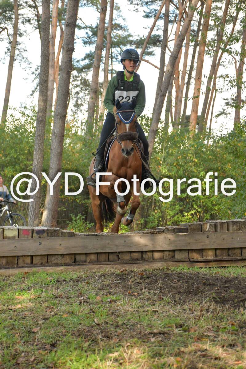 eventing-grobbendonk-4565-standard.jpg