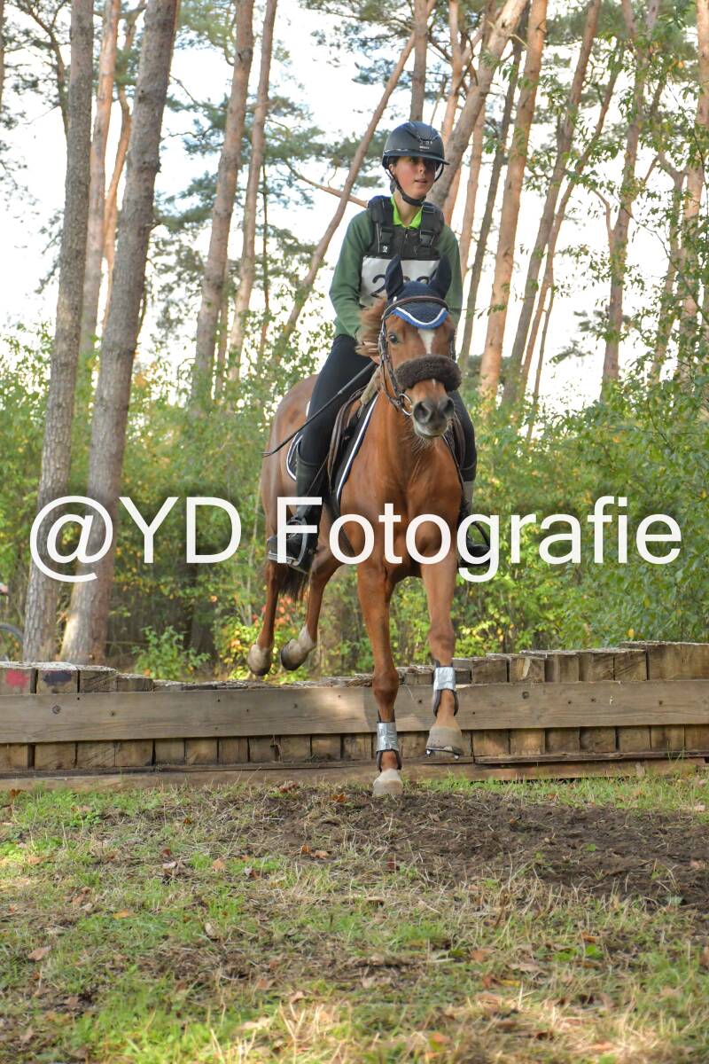 eventing-grobbendonk-4566-standard.jpg