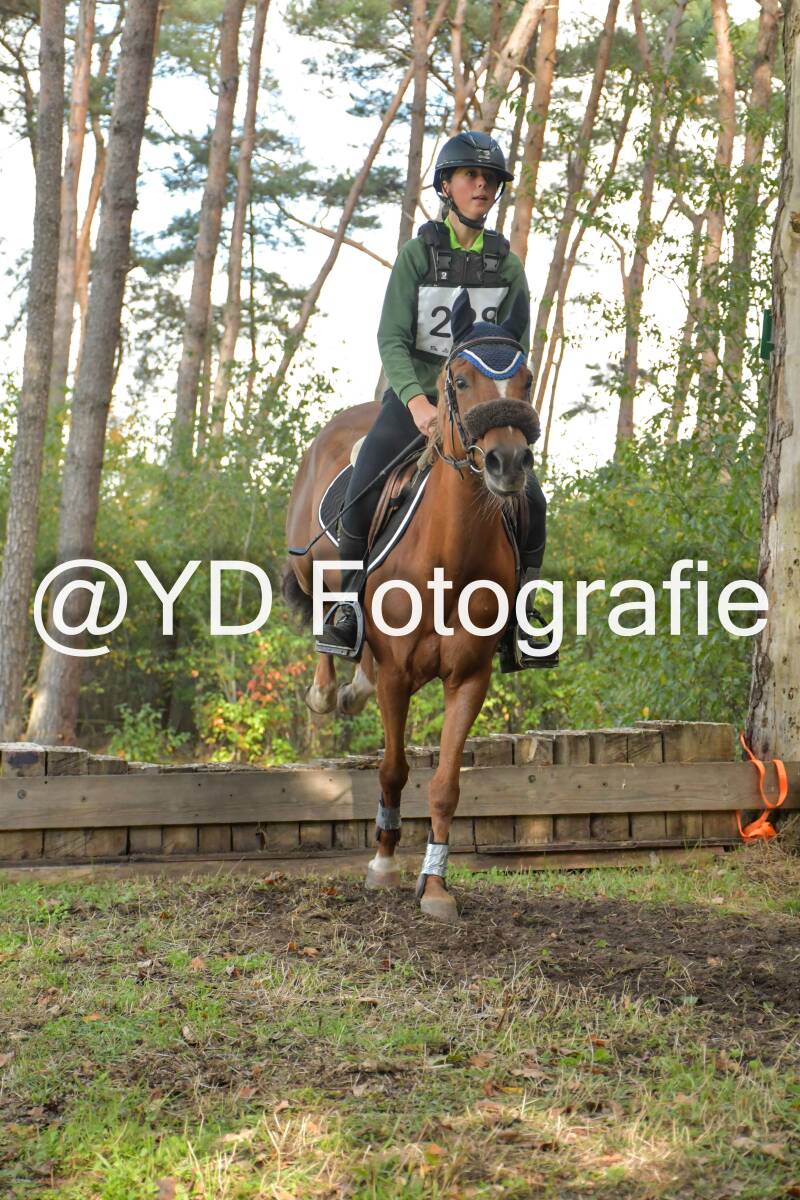 eventing-grobbendonk-4567-standard.jpg