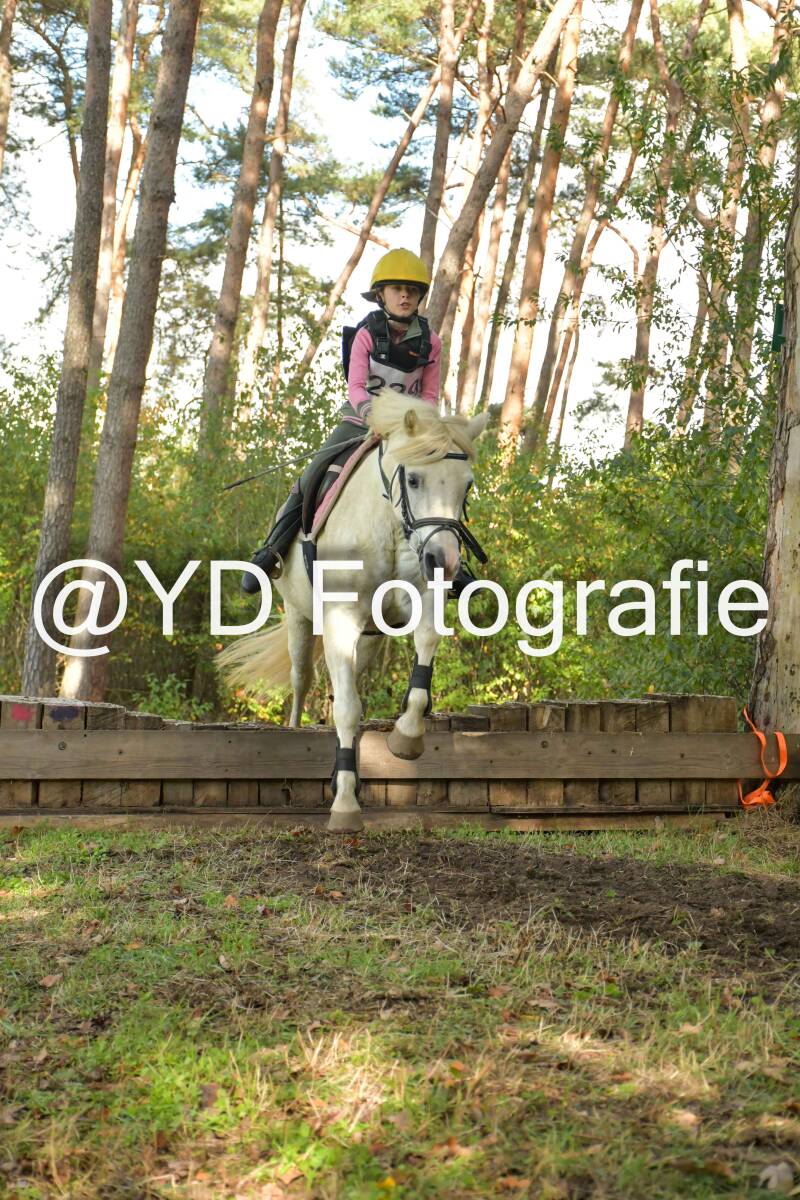 eventing-grobbendonk-4568-standard.jpg
