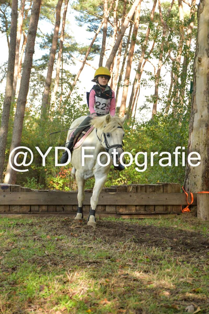 eventing-grobbendonk-4569-standard.jpg