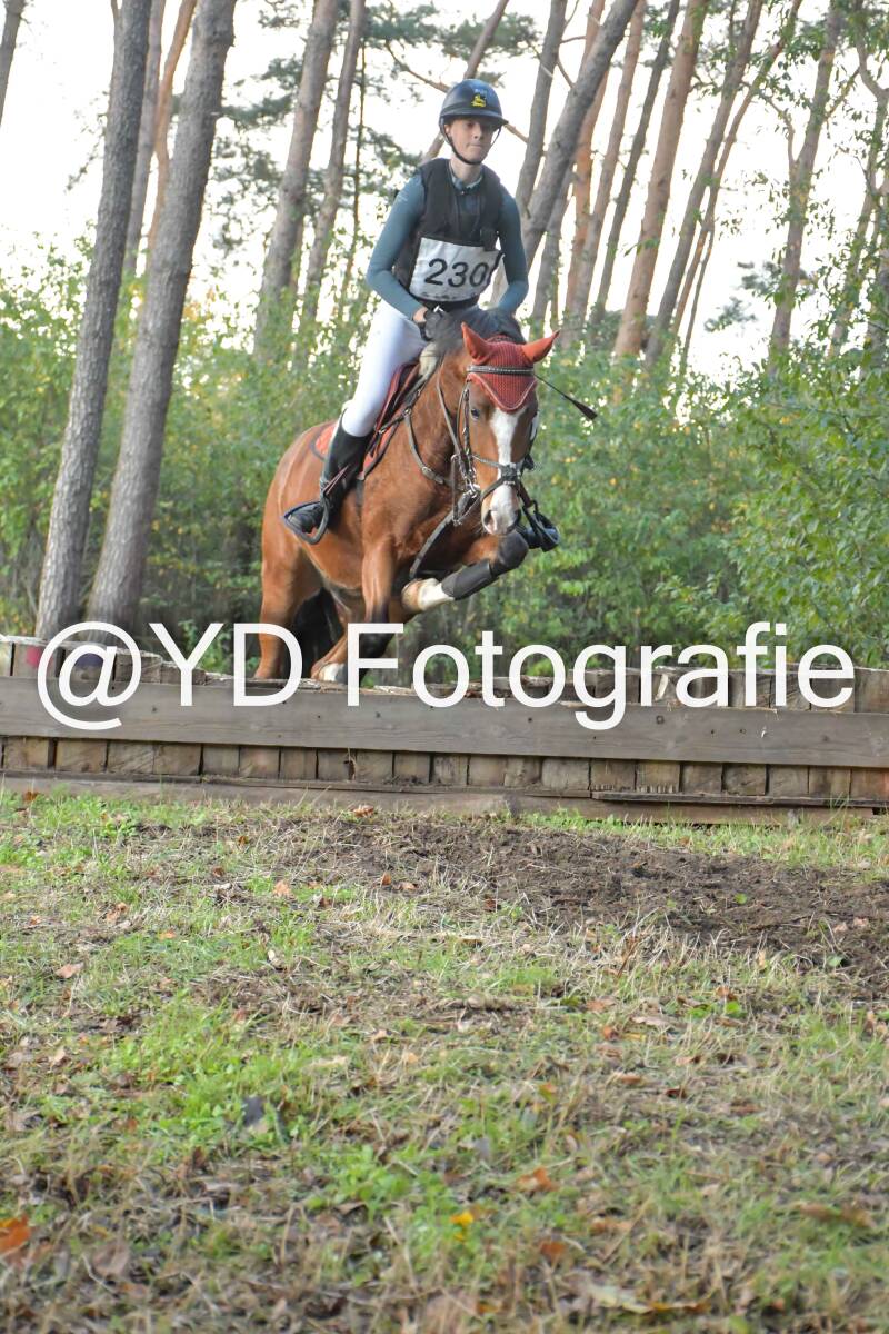 eventing-grobbendonk-4570-standard.jpg