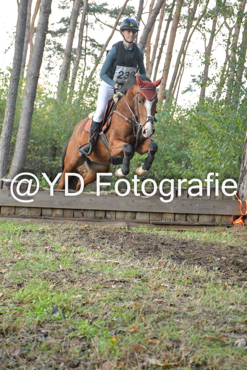 eventing-grobbendonk-4571-standard.jpg