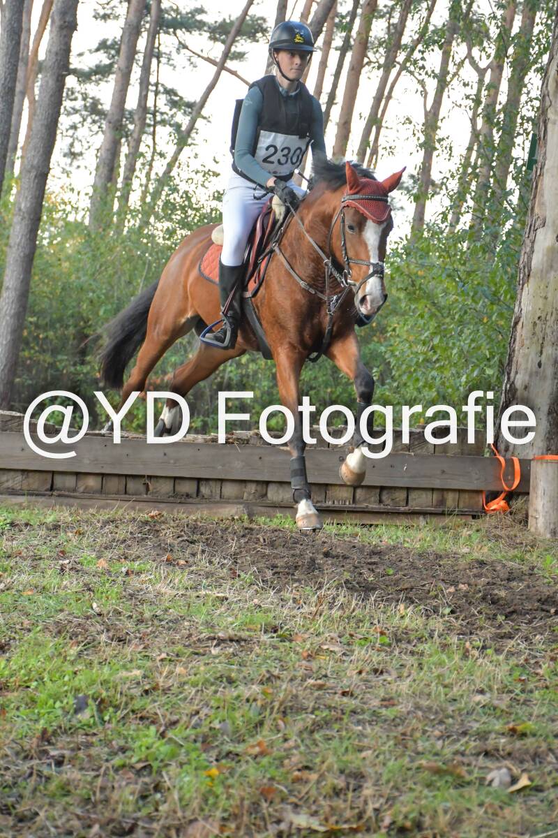eventing-grobbendonk-4572-standard.jpg