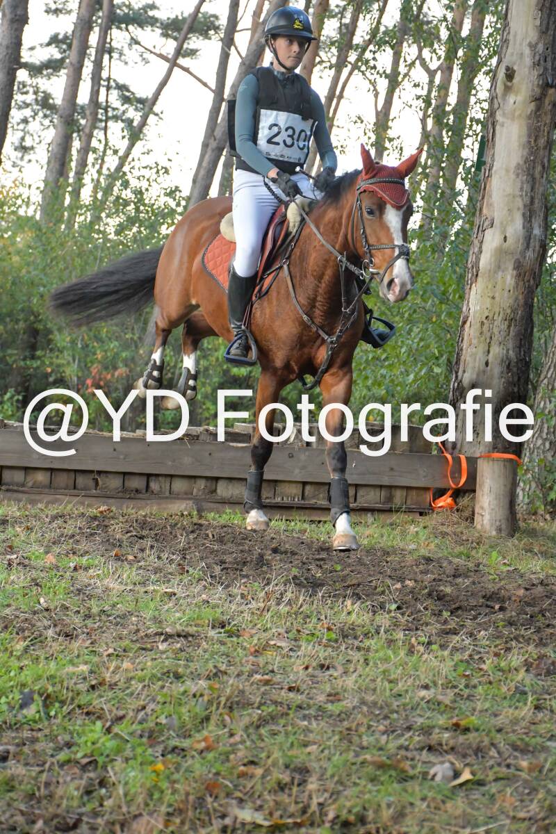 eventing-grobbendonk-4573-standard.jpg