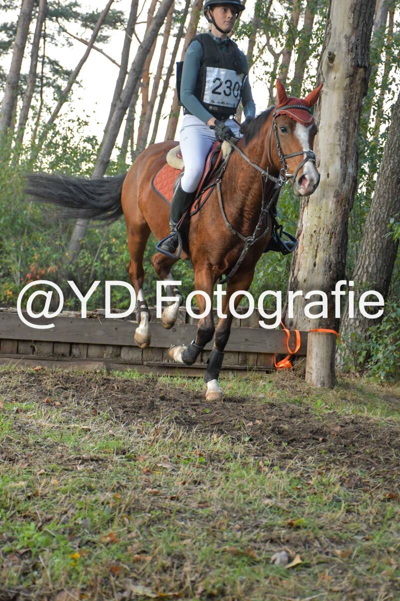 eventing-grobbendonk-4574-standard.jpg