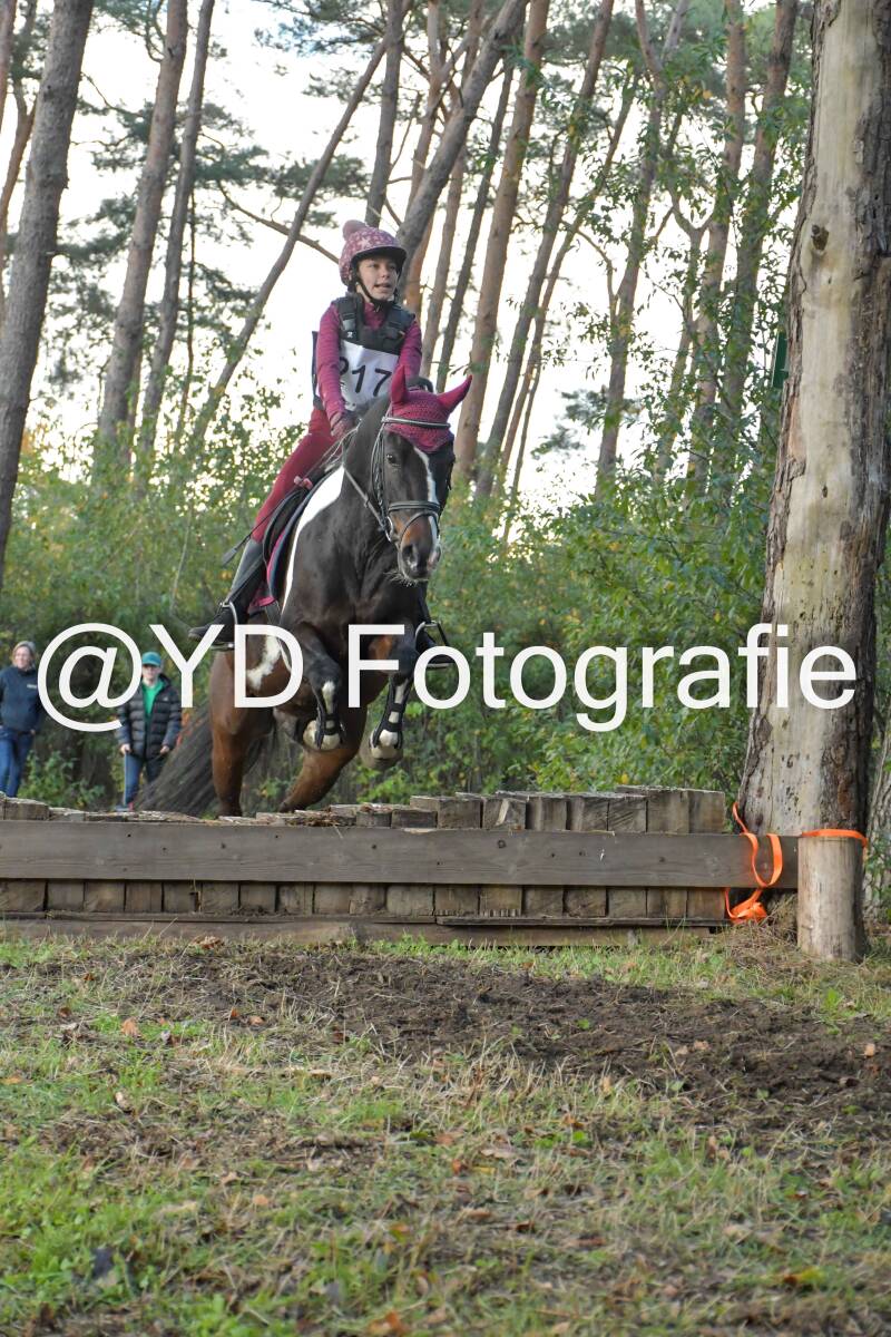 eventing-grobbendonk-4577-standard.jpg