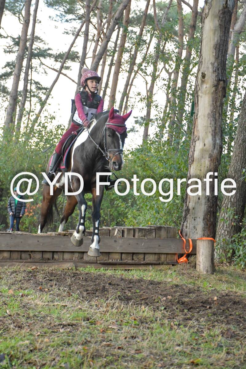 eventing-grobbendonk-4578-standard.jpg