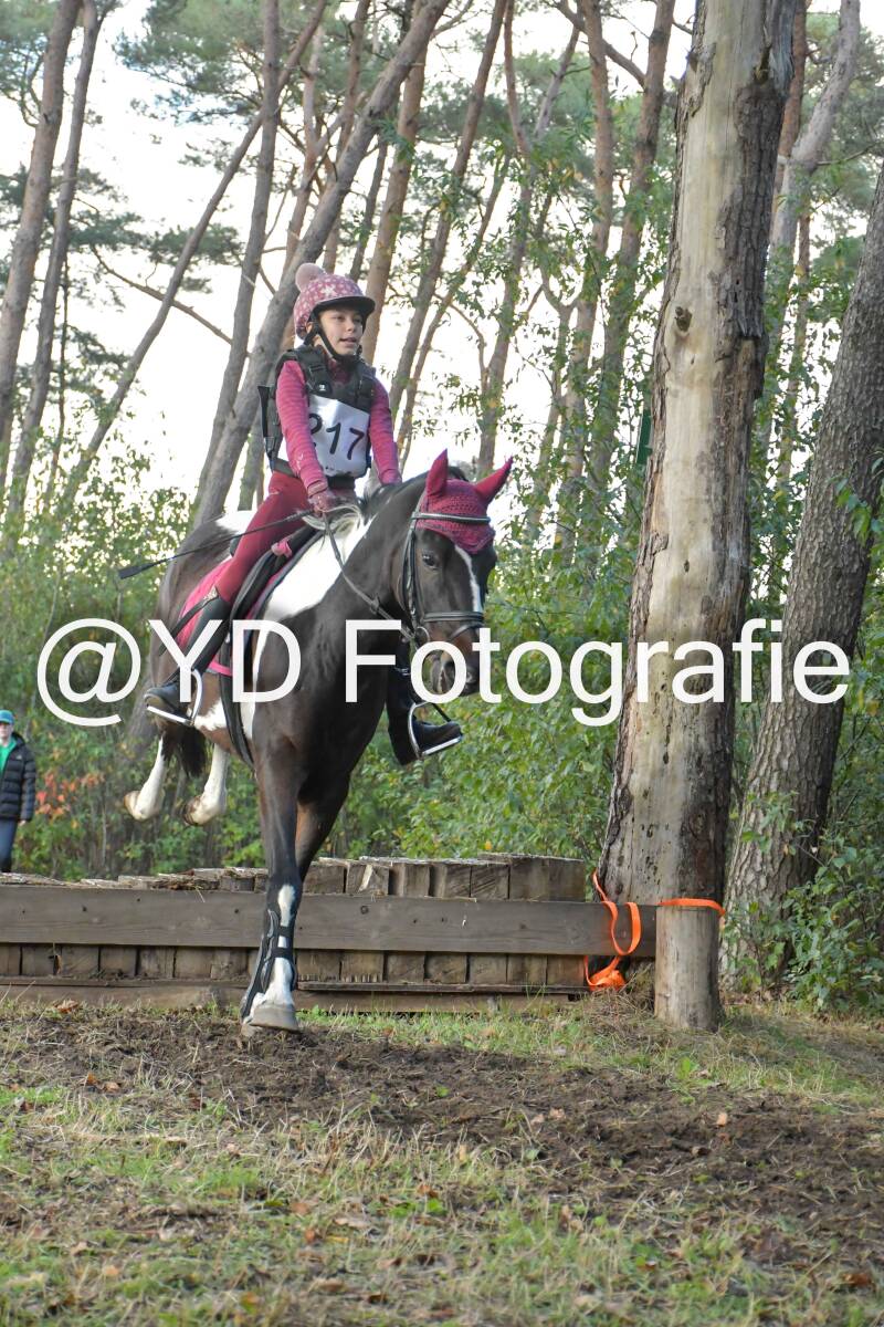 eventing-grobbendonk-4579-standard.jpg