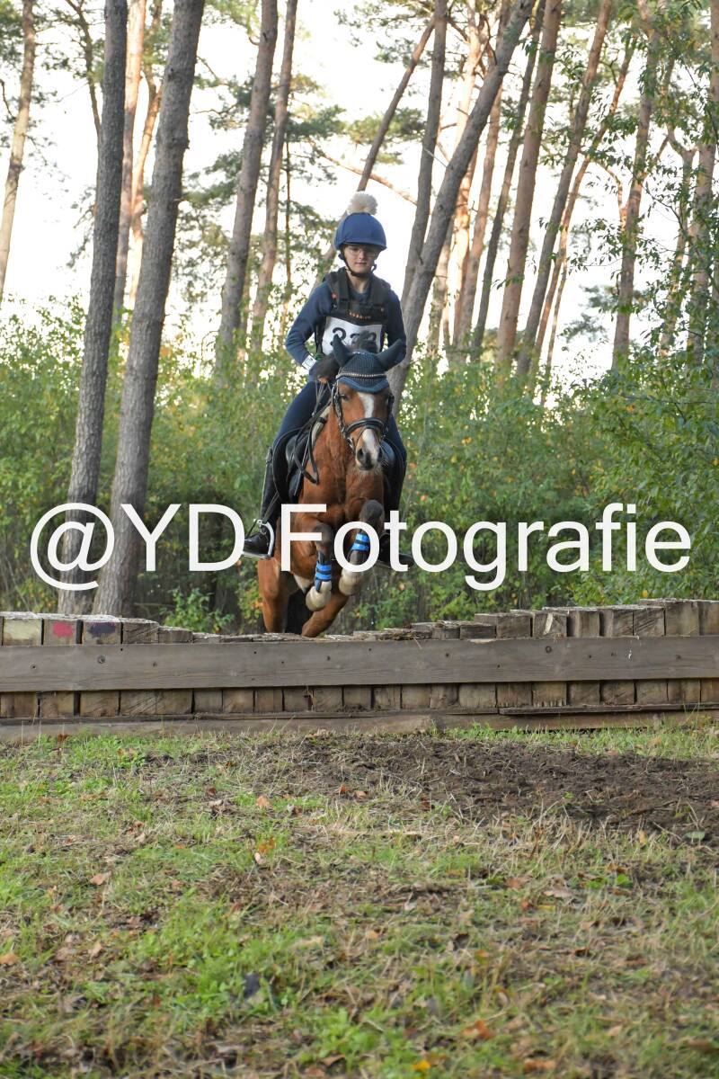 eventing-grobbendonk-4582-standard.jpg