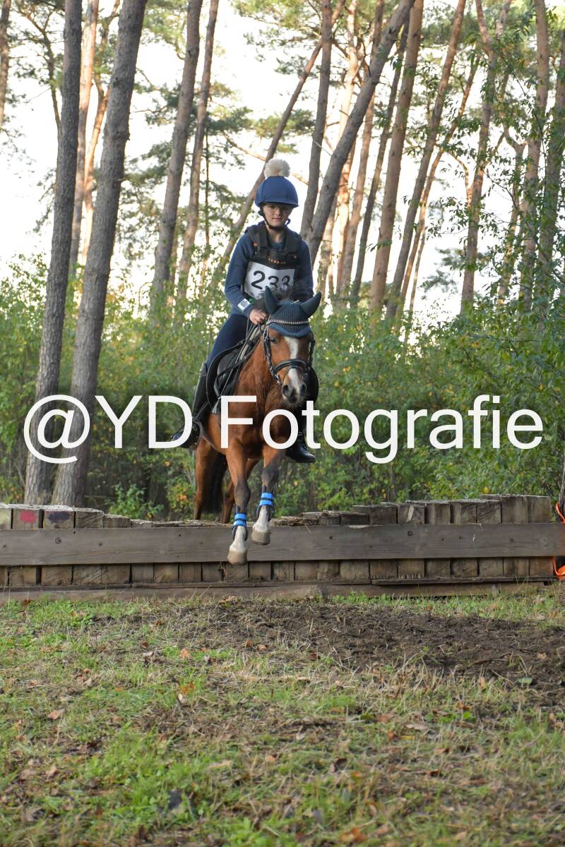 eventing-grobbendonk-4583-standard.jpg