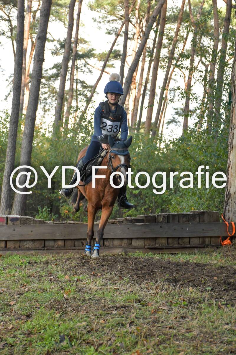 eventing-grobbendonk-4584-standard.jpg