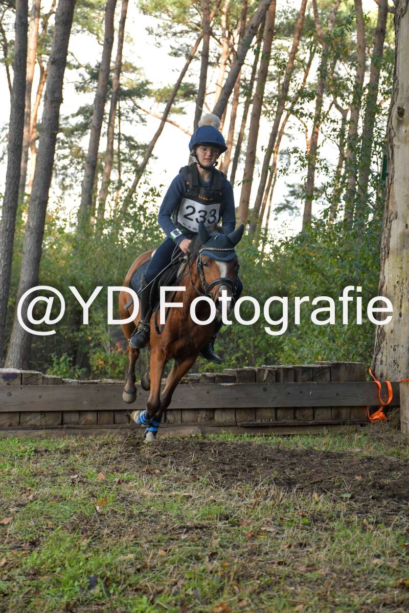 eventing-grobbendonk-4585-standard.jpg