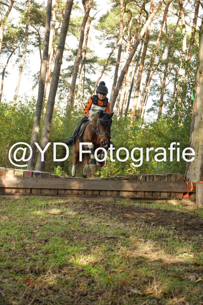 eventing-grobbendonk-4586-standard.jpg