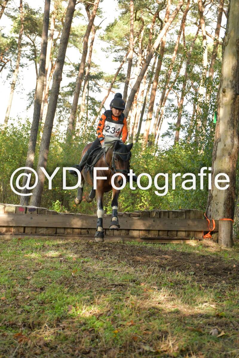 eventing-grobbendonk-4587-standard.jpg
