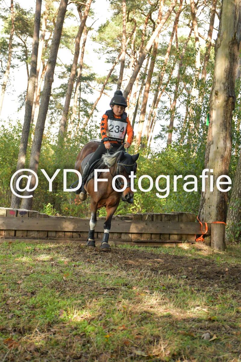 eventing-grobbendonk-4588-standard.jpg