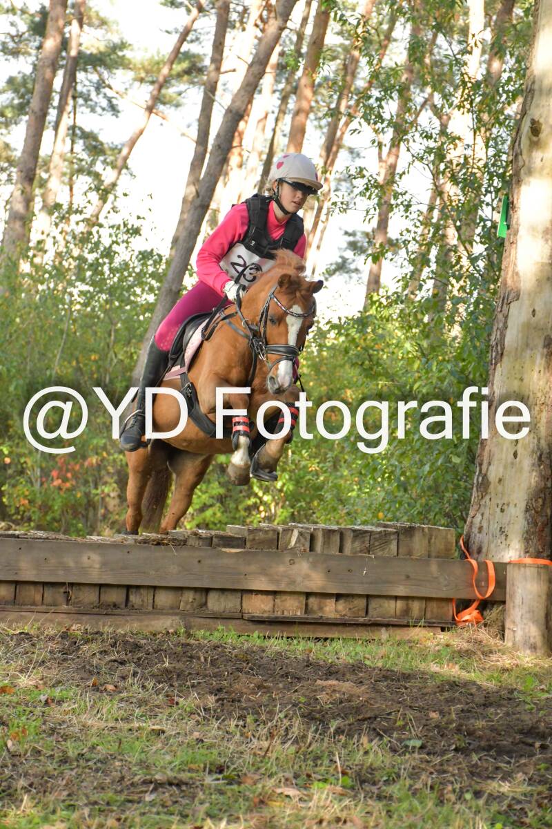 eventing-grobbendonk-4589-standard.jpg