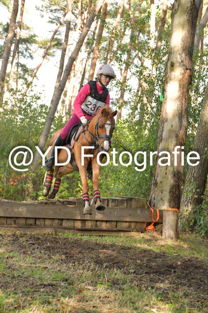 eventing-grobbendonk-4590-standard.jpg