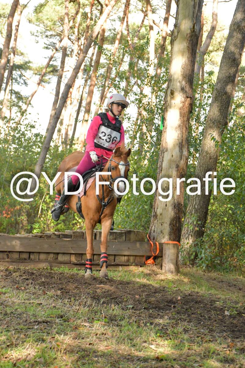 eventing-grobbendonk-4591-standard.jpg