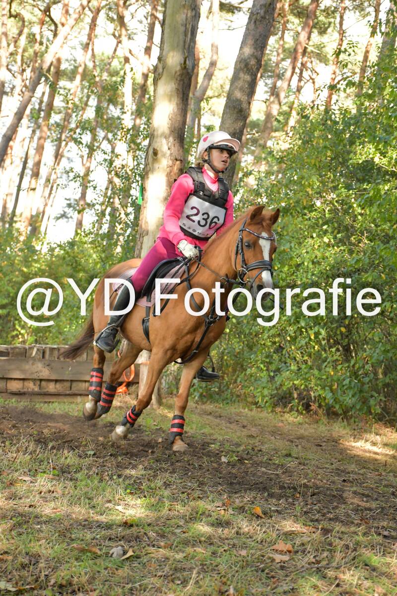 eventing-grobbendonk-4592-standard.jpg