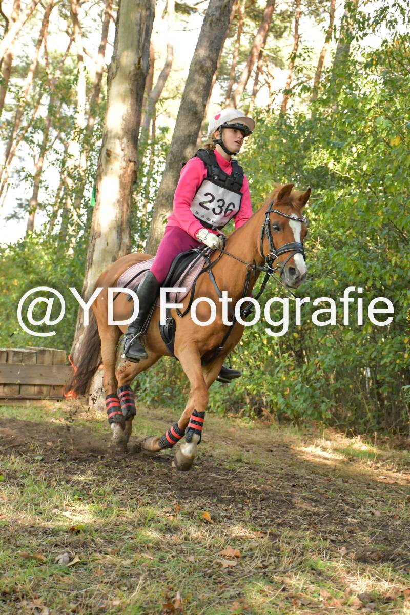 eventing-grobbendonk-4593-standard.jpg
