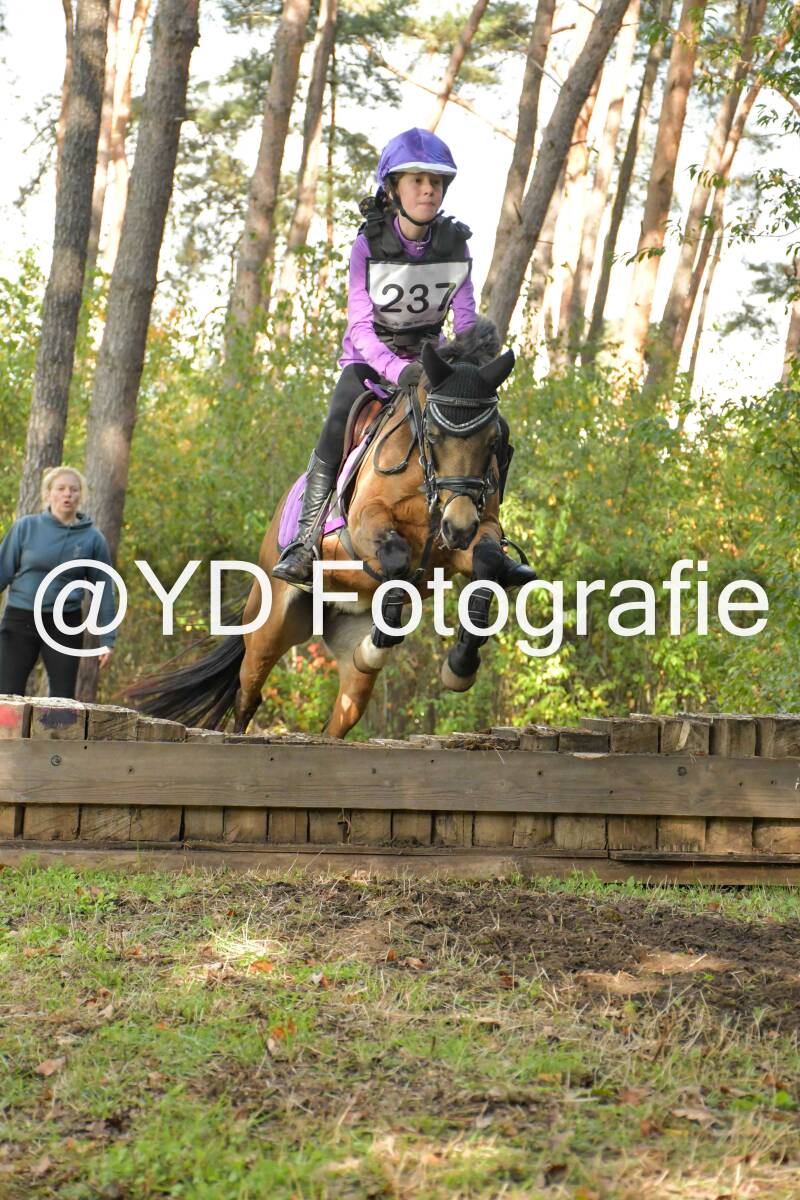eventing-grobbendonk-4594-standard.jpg