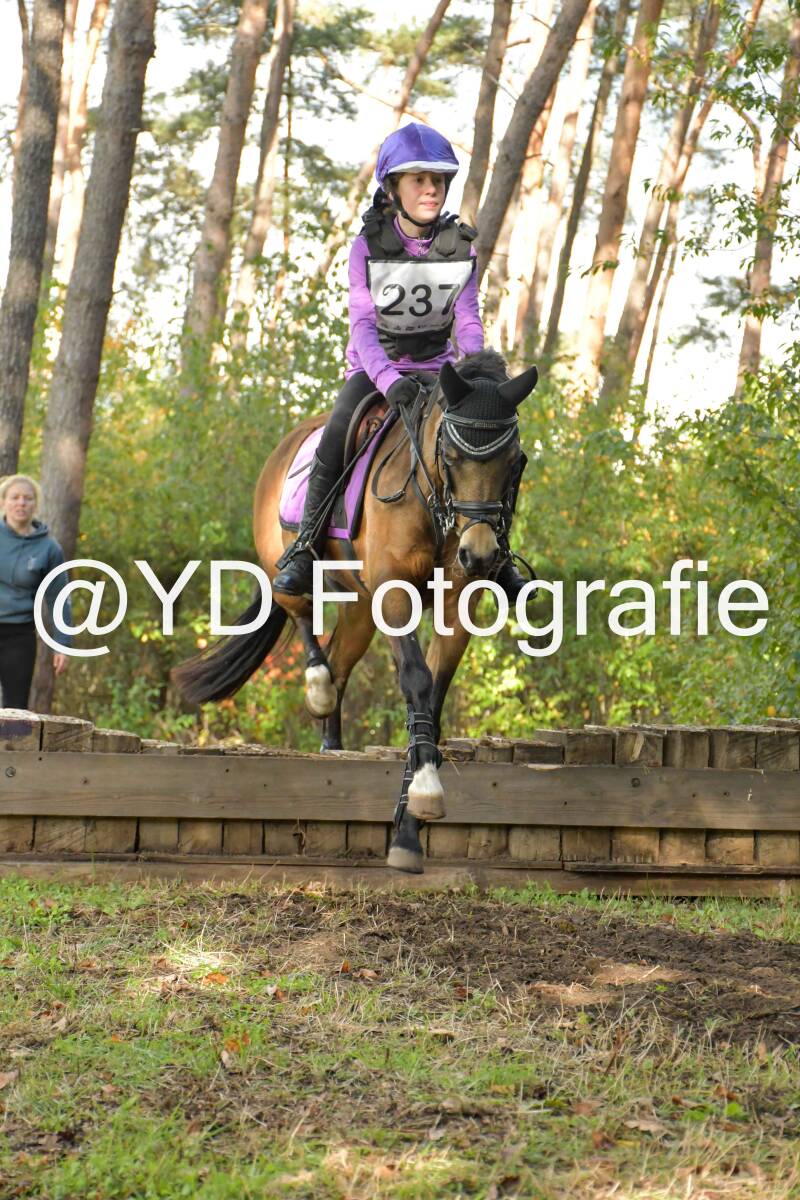 eventing-grobbendonk-4595-standard.jpg