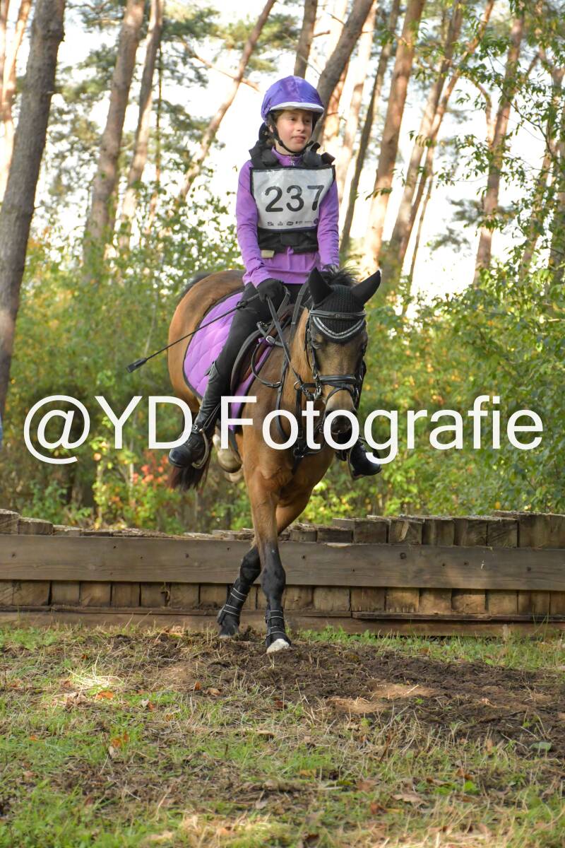 eventing-grobbendonk-4596-standard.jpg