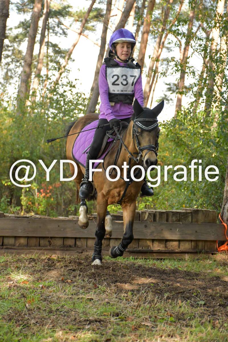 eventing-grobbendonk-4597-standard.jpg
