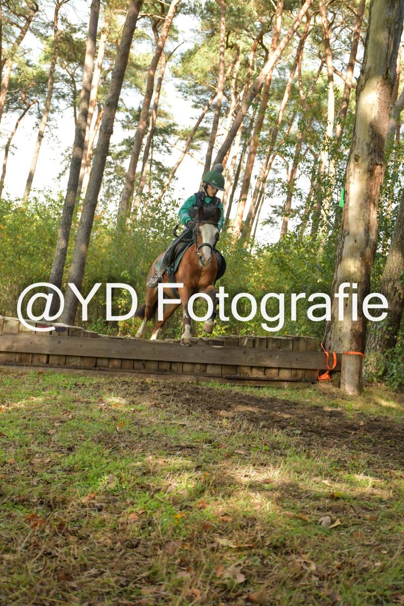 eventing-grobbendonk-4598-standard.jpg