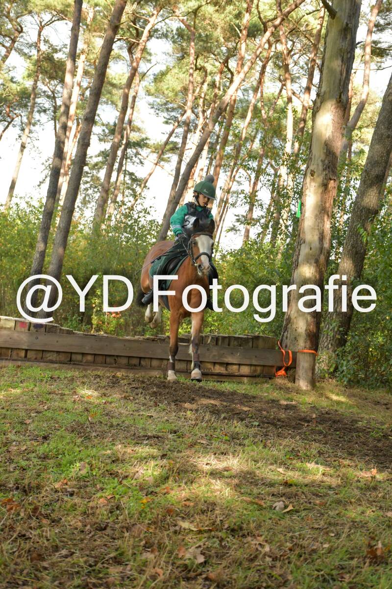 eventing-grobbendonk-4599-standard.jpg