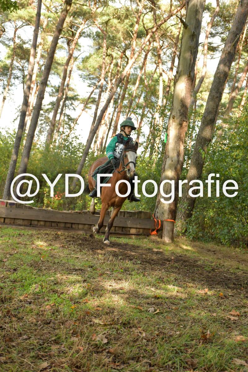 eventing-grobbendonk-4600-standard.jpg