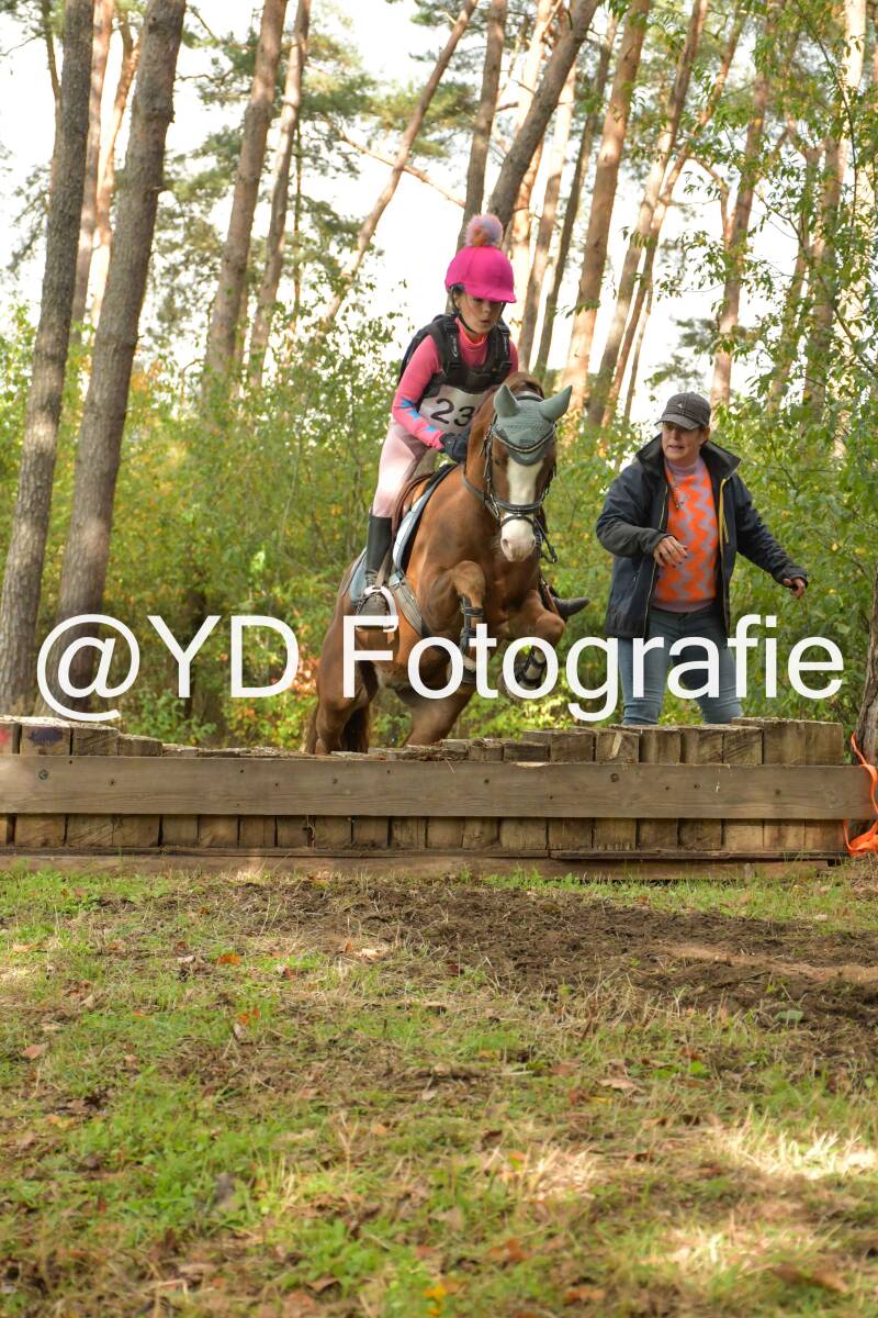 eventing-grobbendonk-4601-standard.jpg