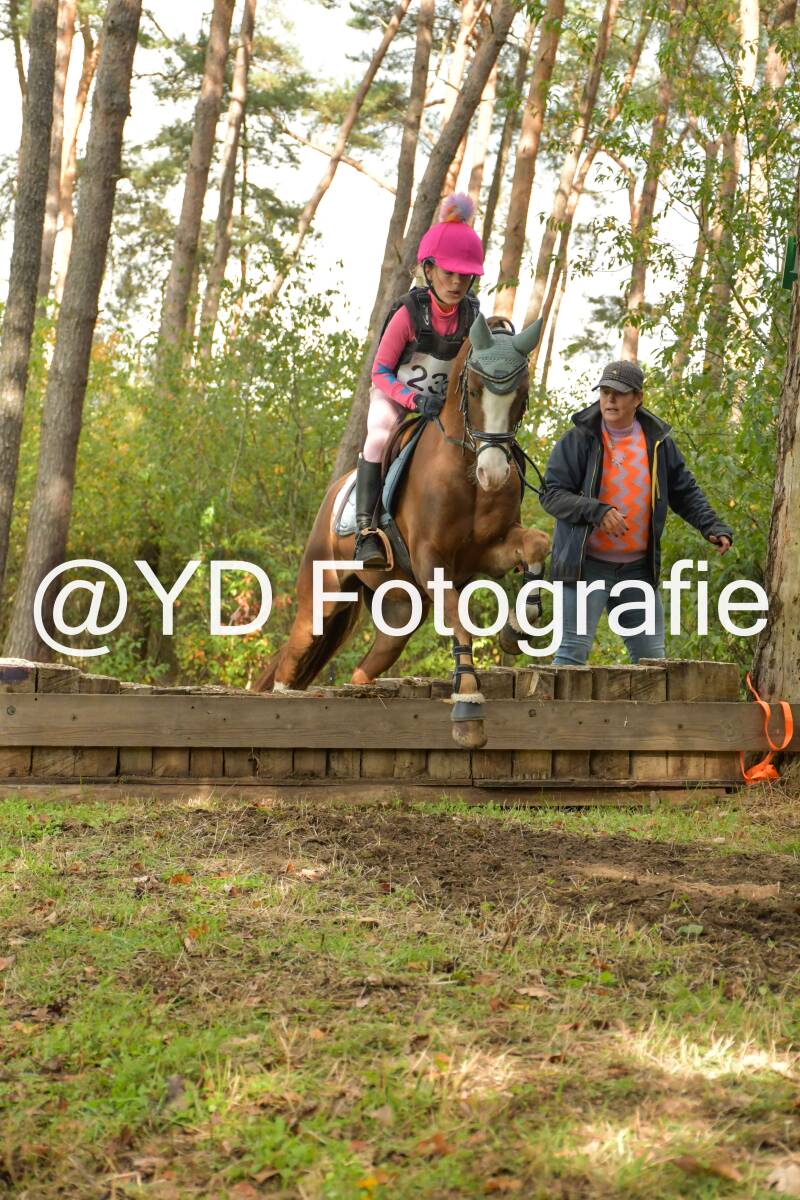 eventing-grobbendonk-4602-standard.jpg