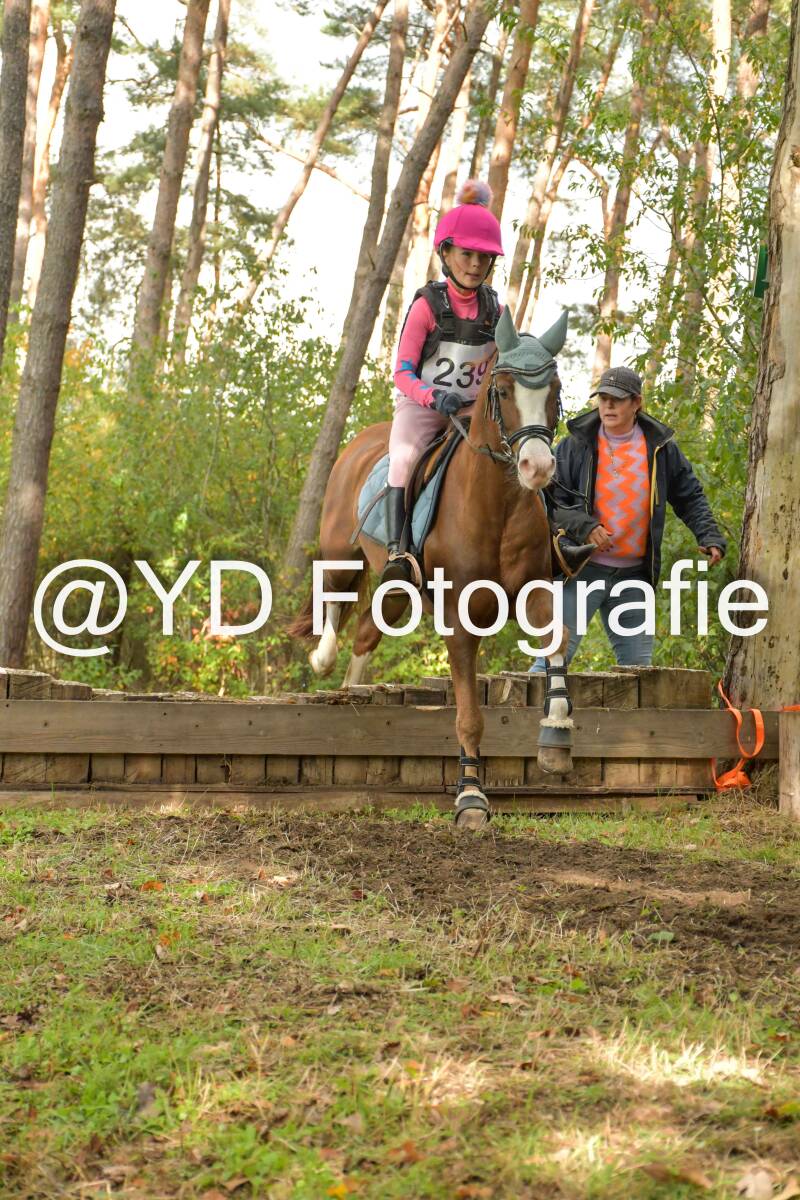 eventing-grobbendonk-4603-standard.jpg