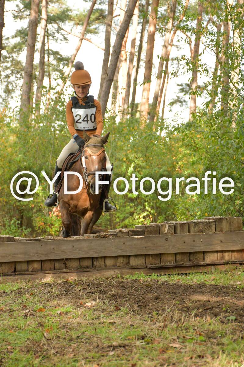 eventing-grobbendonk-4604-standard.jpg