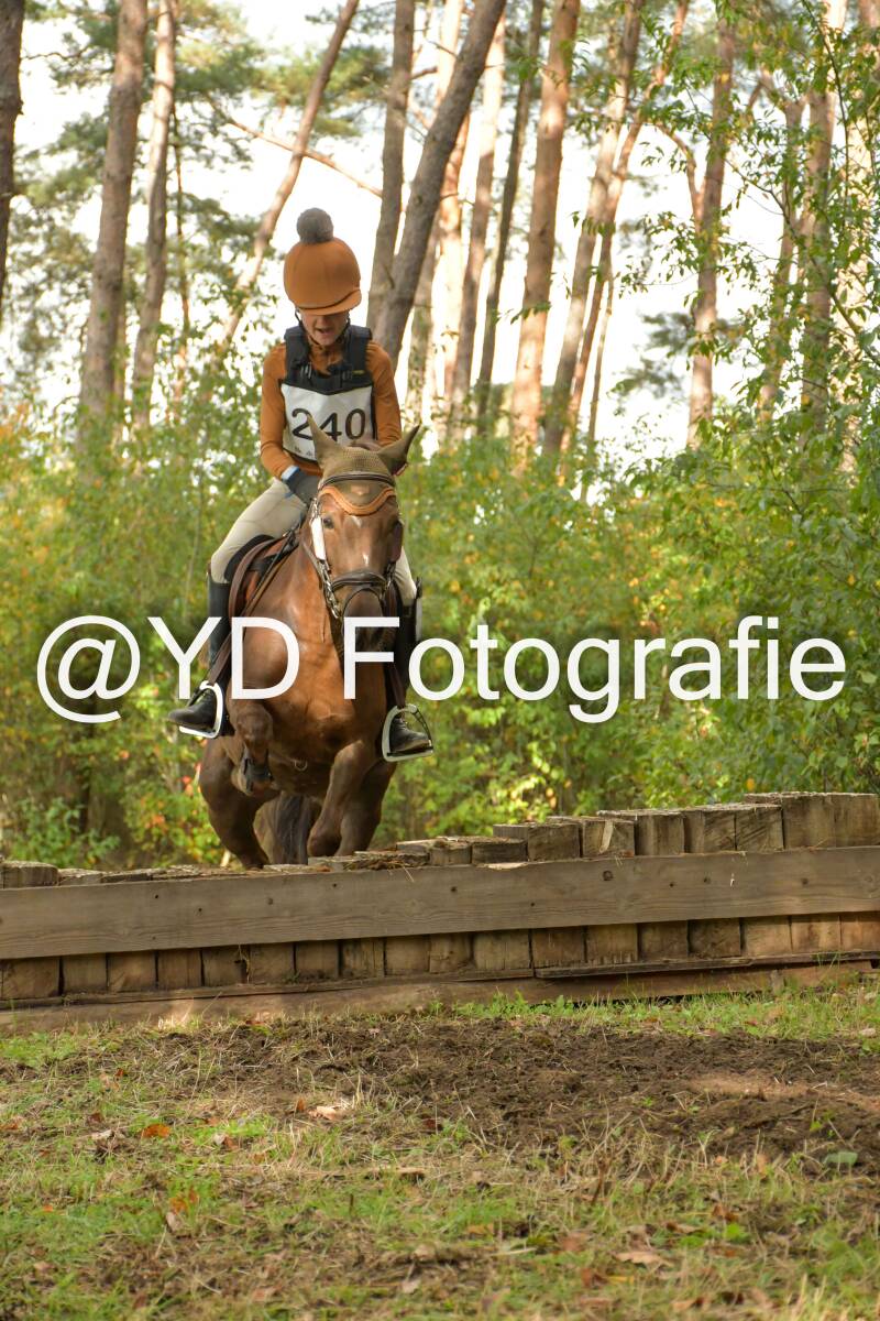 eventing-grobbendonk-4605-standard.jpg