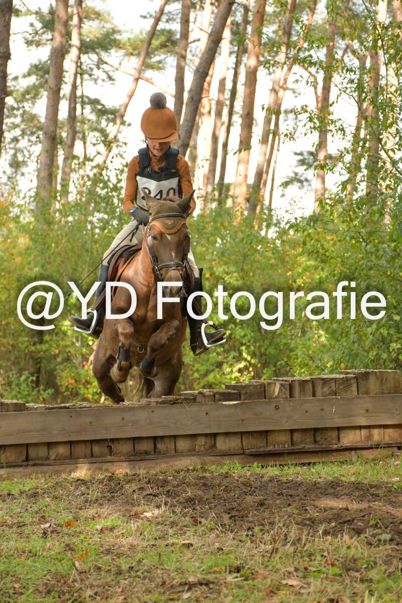 eventing-grobbendonk-4606-standard.jpg