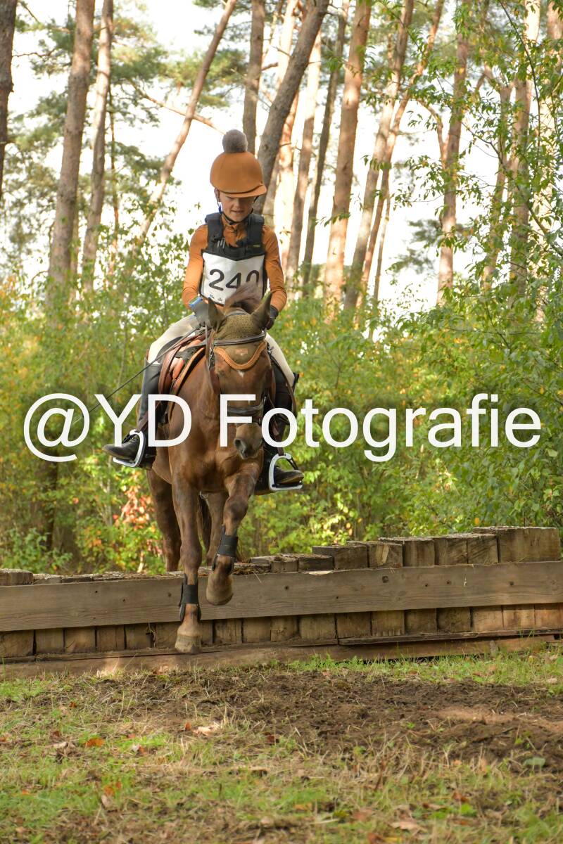 eventing-grobbendonk-4607-standard.jpg