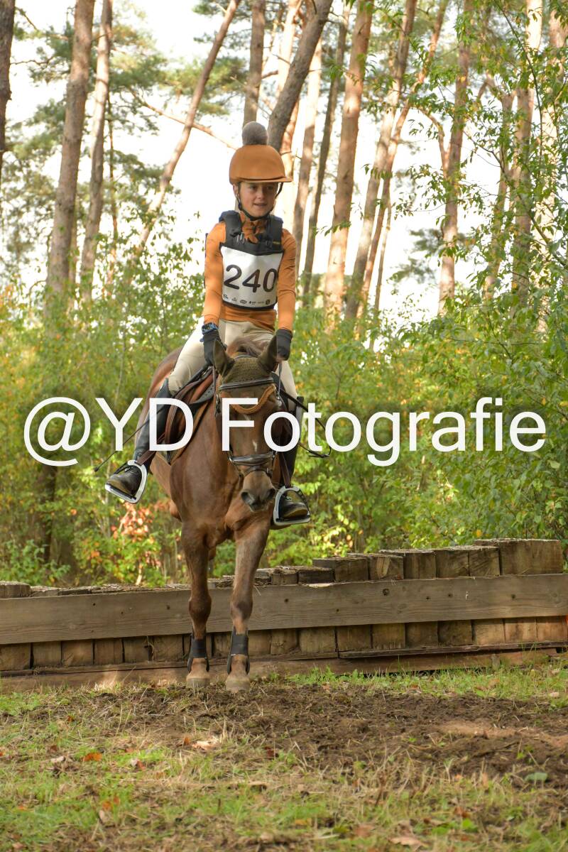 eventing-grobbendonk-4608-standard.jpg