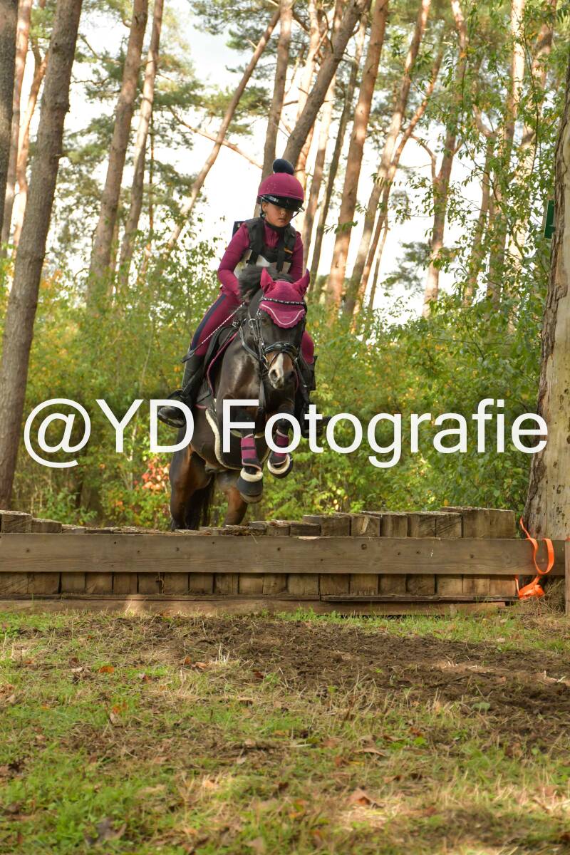eventing-grobbendonk-4609-standard.jpg
