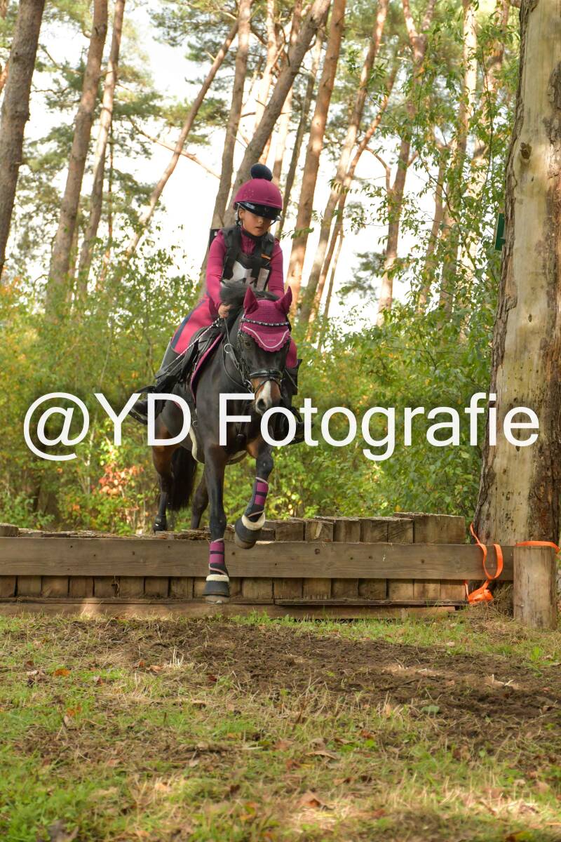 eventing-grobbendonk-4610-standard.jpg