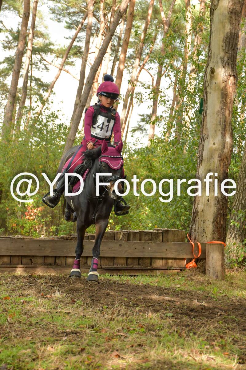 eventing-grobbendonk-4611-standard.jpg