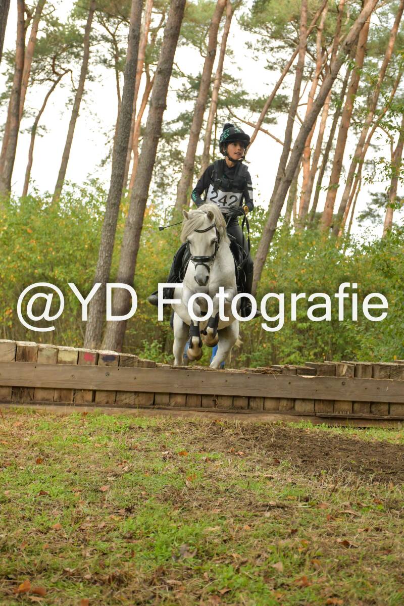eventing-grobbendonk-4612-standard.jpg