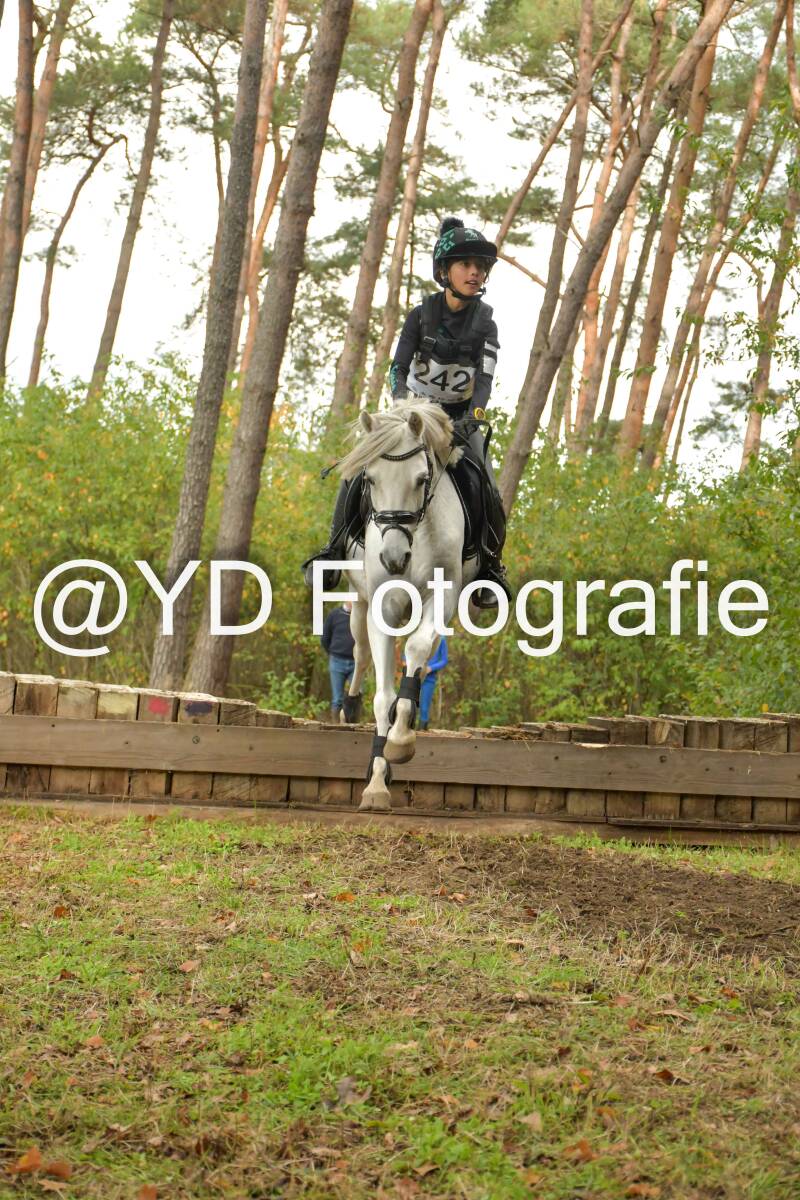 eventing-grobbendonk-4613-standard.jpg