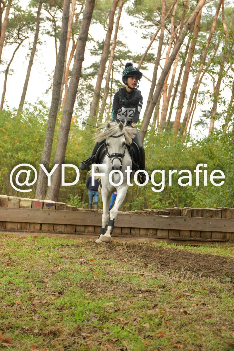 eventing-grobbendonk-4614-standard.jpg
