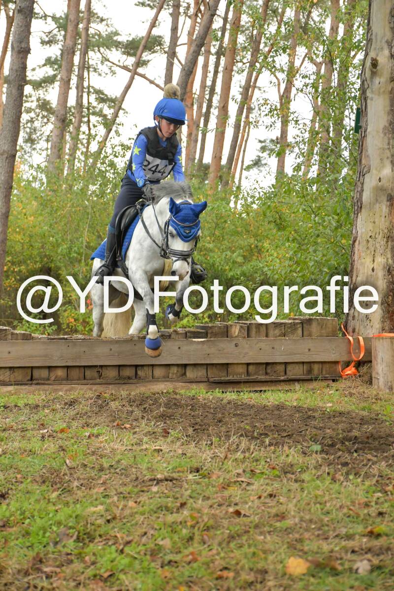 eventing-grobbendonk-4615-standard.jpg