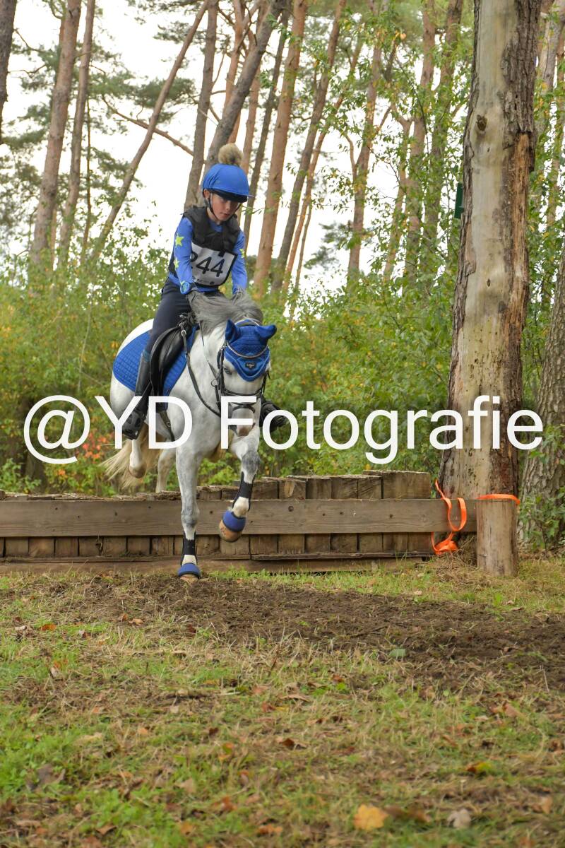 eventing-grobbendonk-4616-standard.jpg
